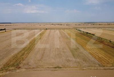 Teren de 7500 mp, în Central