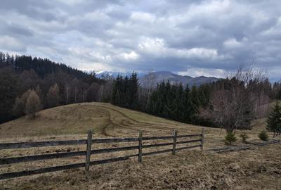 Teren Construcții intravilan de 3040 mp, în Bran - 3