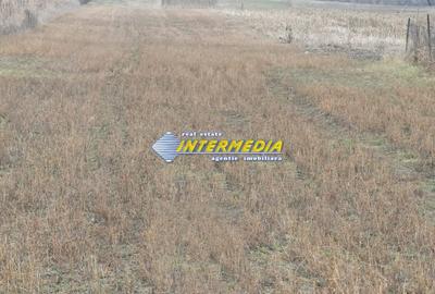 Teren Construcții intravilan de 4200 mp, în Cetate - 3