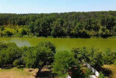 Casă individuală cu 9 camere cu Piscina în Brănești - 20