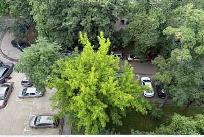 Garsonieră semidecomandată în Ferdinand