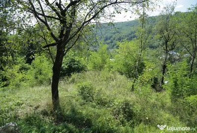 Teren de 2700 mp, în Telega - 9
