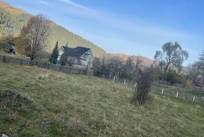 Teren de 1119 mp, în Ceahlău