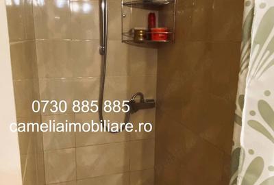 Apartament cu 2 camere decomandat în Gorjului