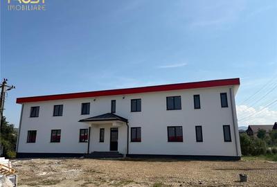Apartament cu 8 camere semidecomandat în Petriș - 10