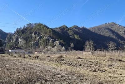 Teren de 2800 mp, în Călinești - 10