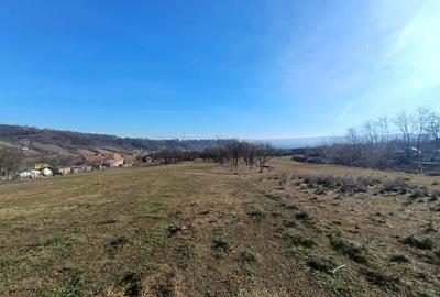 Teren Construcții intravilan de 2950 mp, în Pâclișa - 3