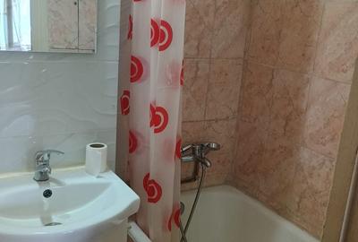 Apartament cu 2 camere decomandat în Depozitelor