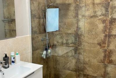 Casă individuală cu 5 camere cu Teren 413 Mp în Cisnădioara - 13