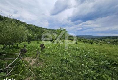 Teren de 11935 mp, în Mărgineni - 2