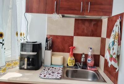 Apartament cu 2 camere decomandat în Craiovița Nouă - 2