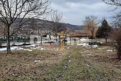 Teren de 10435 mp, în Stănilești - 8