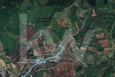 Teren agricol extravilan de 38400 mp, în Hamba - 1