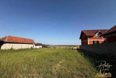 Teren Construcții intravilan de 3255 mp, în Tășad - 1