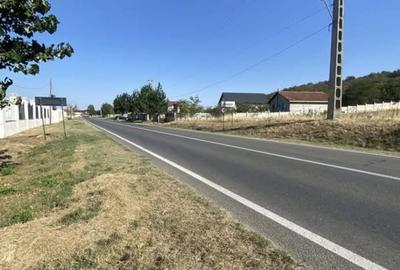 Teren de 5000 mp, în Calea București