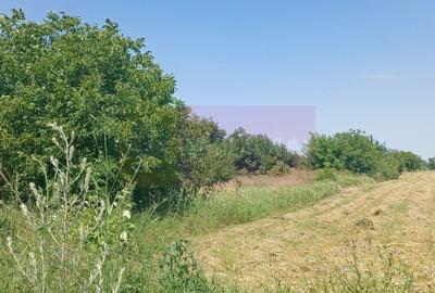 Teren Construcții intravilan de 665 mp, în Săbăreni - 3