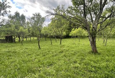 Teren de 3102 mp, în Blănoiu - 3