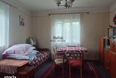 Casă cu 4 camere cu Teren 2651 Mp în Baia de Criș - 11