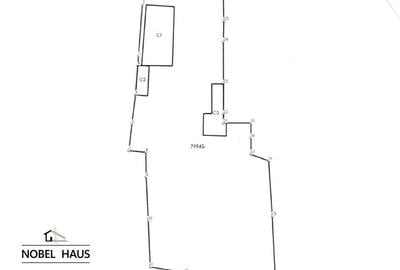 Casă individuală cu 4 camere cu Teren 2444 Mp în Cârja - 18