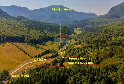 Teren de 6000 mp, în Dălghiu