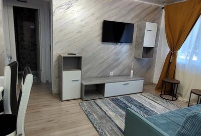 Apartament cu 2 camere semidecomandat, mobilat în Viziru 1 - 1