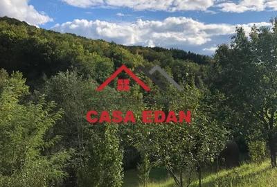 Teren de 9104 mp, în Brebu - 16