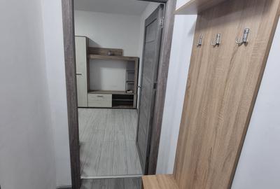 Garsonieră semidecomandată în Craiovița Nouă - 5