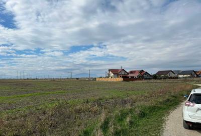 Teren de 5000 mp, în Hărman - 4