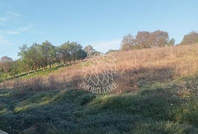 Teren de 10000 mp, în Aluniș - 7