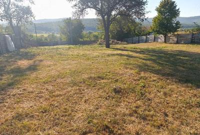 Teren de 1560 mp, în Ciurea