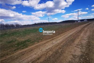 Teren Construcții intravilan de 8600 mp, în Bucium