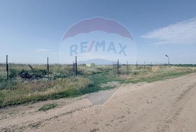 Teren agricol extravilan de 16750 mp, în Cârcea - 2