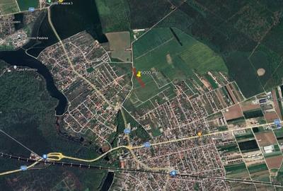 Teren de 5000 mp, în Brănești - 2