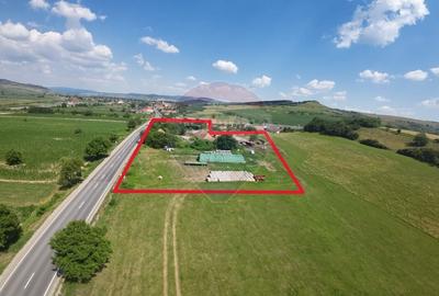 Teren Construcții intravilan de 22942 mp, în Vânători - 2