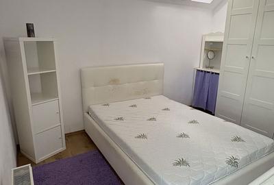 Apartament cu 2 camere decomandat în Turnișor - 3