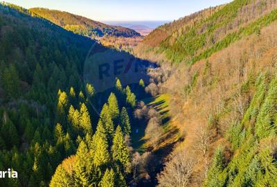 Teren de 17939 mp, în Mănești - 5