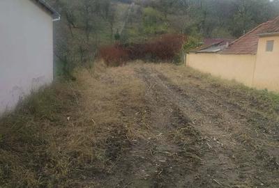 Teren de 1570 mp, în Dâncu Mic - 2