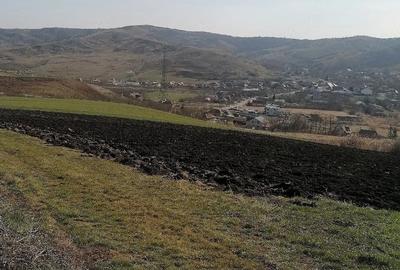 Teren de 11600 mp, în Florești