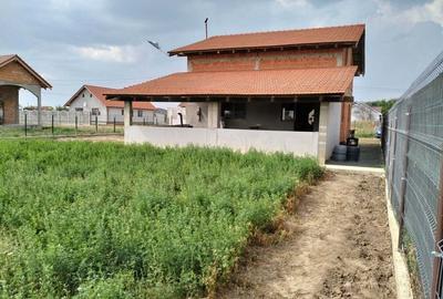 Casă cu 3 camere cu Teren 983 Mp în Peciu Nou - 1