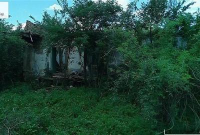 Casă cu 3 camere cu Teren 1855 Mp în Stejărenii