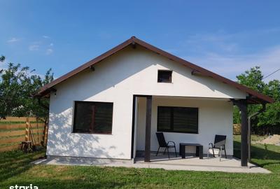 Casă cu 3 camere cu Teren 700 Mp în Merișani - 11