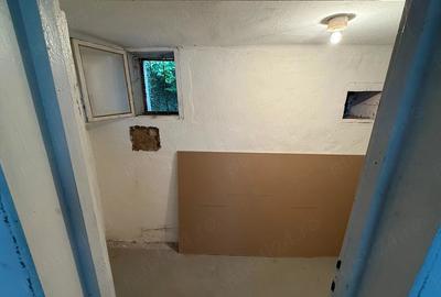 Teren de 8000 mp, în Dealu Mare - 6