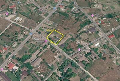 Casă cu 4 camere cu Teren 1387 Mp în Murighiol - 7