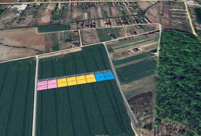 Teren Construcții intravilan de 1000 mp, în Snagov - 1
