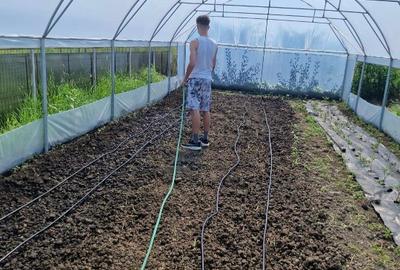 Casă individuală cu 4 camere cu Teren 4200 Mp în Negrași