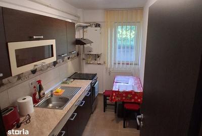 Garsonieră în Bucium