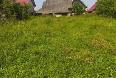 Casă cu 4 camere cu Teren 2600 Mp în Horodnic