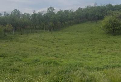 Casă cu 2 camere în Morău - 2