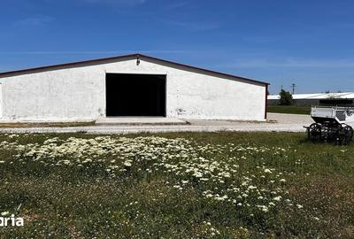 Spațiu comercial, de 120 mp, în Sântandrei - 1