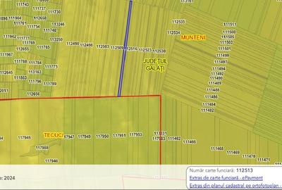 Teren agricol extravilan de 10098 mp, în Munteni - 2